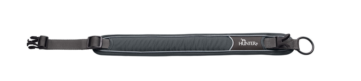 Hundehalsband "Divo" | grau/grau
