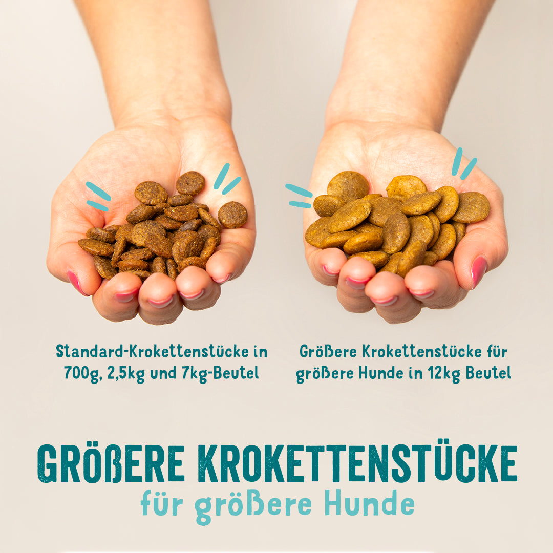 Edgard Cooper Trockenfutter Lachs Kroketten