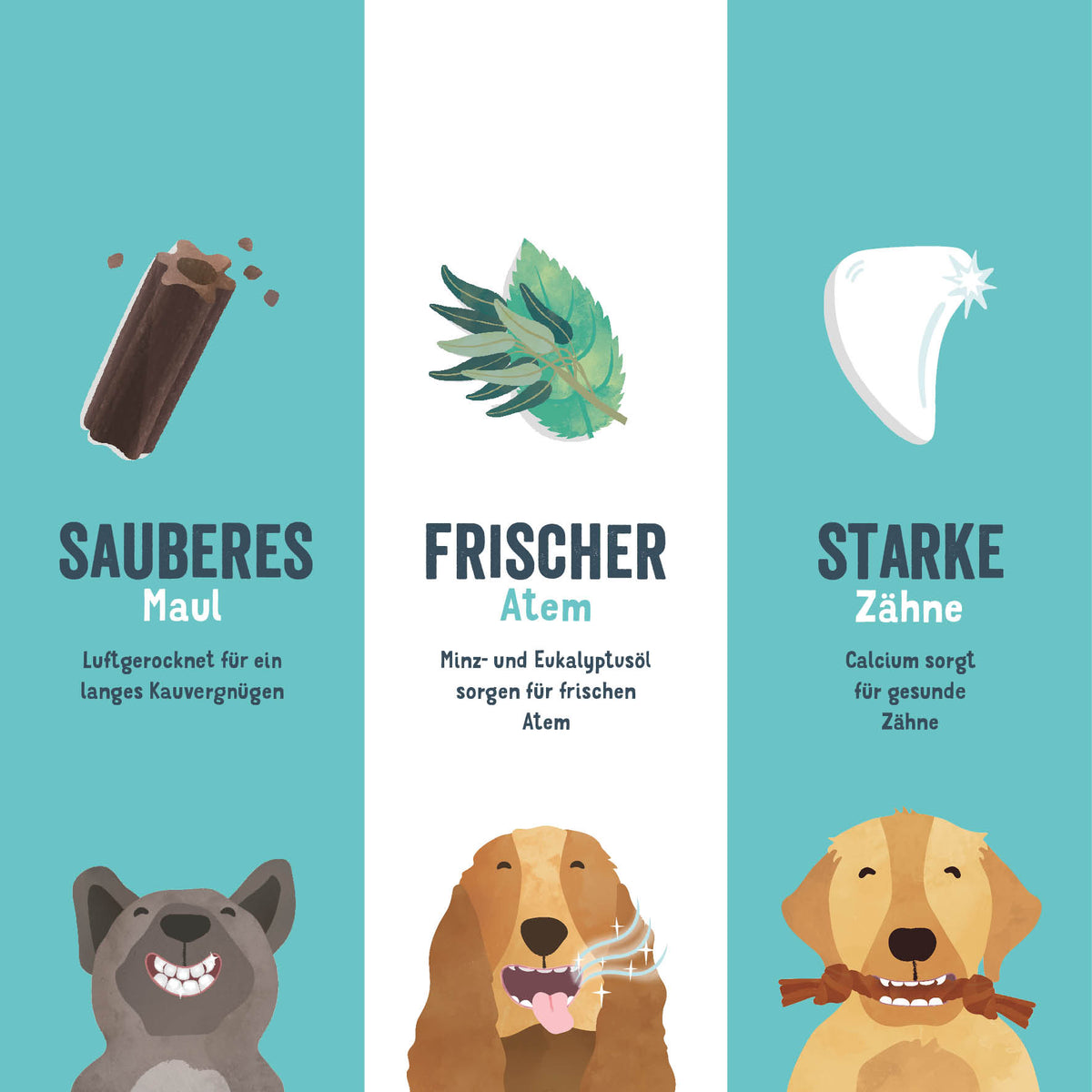 Doggy Dental | Minze & Erdbeere