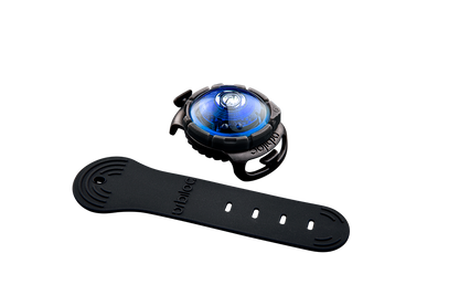 Orbiloc Dog Dual Blue mit Band