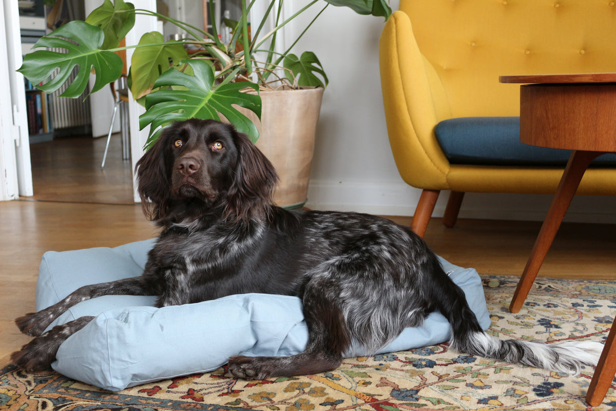 Hundebett tadazhi Tobine blau mit Hund